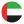 UAE Flag